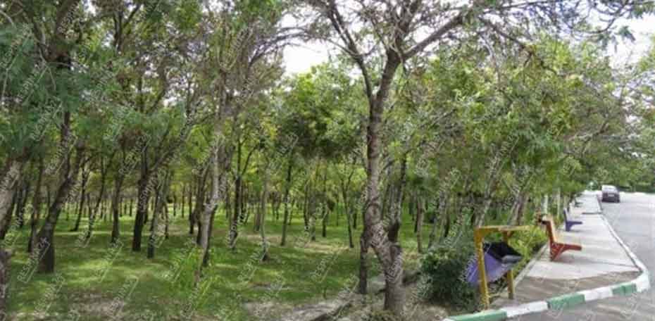 بلیط قطار خواف نقاب - رسپینا 24